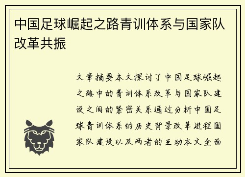 中国足球崛起之路青训体系与国家队改革共振